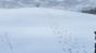   -3