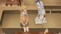   / Citrus [HD]