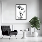     - X-Ray Flowers