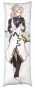 ��������� ���������� ������ ������ - Albedo