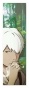 �������� Mushishi Ginko Yoki