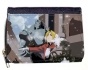   Fullmetal Alchemist 60394