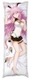 ��������� ���������� Honkai Impact �1