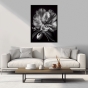     - Black & White Flowers