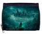   Hogwarts Legacy