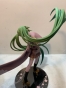  FREEing Vocaloid 1/8 Hatsune Miku Senbonzakura Feat