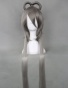 ������� ����� China Project - Luo Tianyi