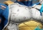   Dragon Ball Vegeta
