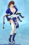 Dead or Alive 5 Kasumi