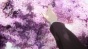 ,     / Sakurako-san no Ashimoto ni wa Shitai ga Umatteiru [12  12] TV (720p)