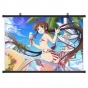 ������� �������� Senran Kagura - Ryoubi