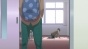    / Fukumenkei Noise
