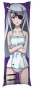 ��������� ���������� �� ������� ��������� Infinite Stratos - ����� �������