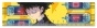 ������� (18��) Mob Psycho Hyaku - Shigeo Kageyama