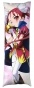 ��������� ���������� �� ������� ��������� Accel World - ����� ������