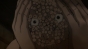     / Itou Junji: Collection [HD]