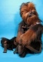  Back Pack: Star Wars - Chewbacca Back Buddy