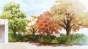 True Tears ( ) MPEG4