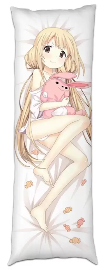 Дакимакура инуяша. Дакимакура ехидна. Геншин дакимакура мини ке цин. Наволочка на дакимакуру. Дакимакура ехидна.